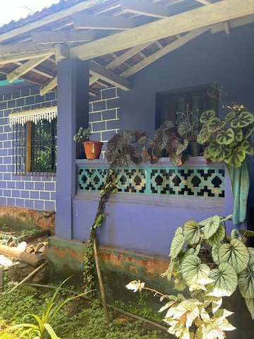 3 BHK Independent House For Resale in Margao Goa  7486442