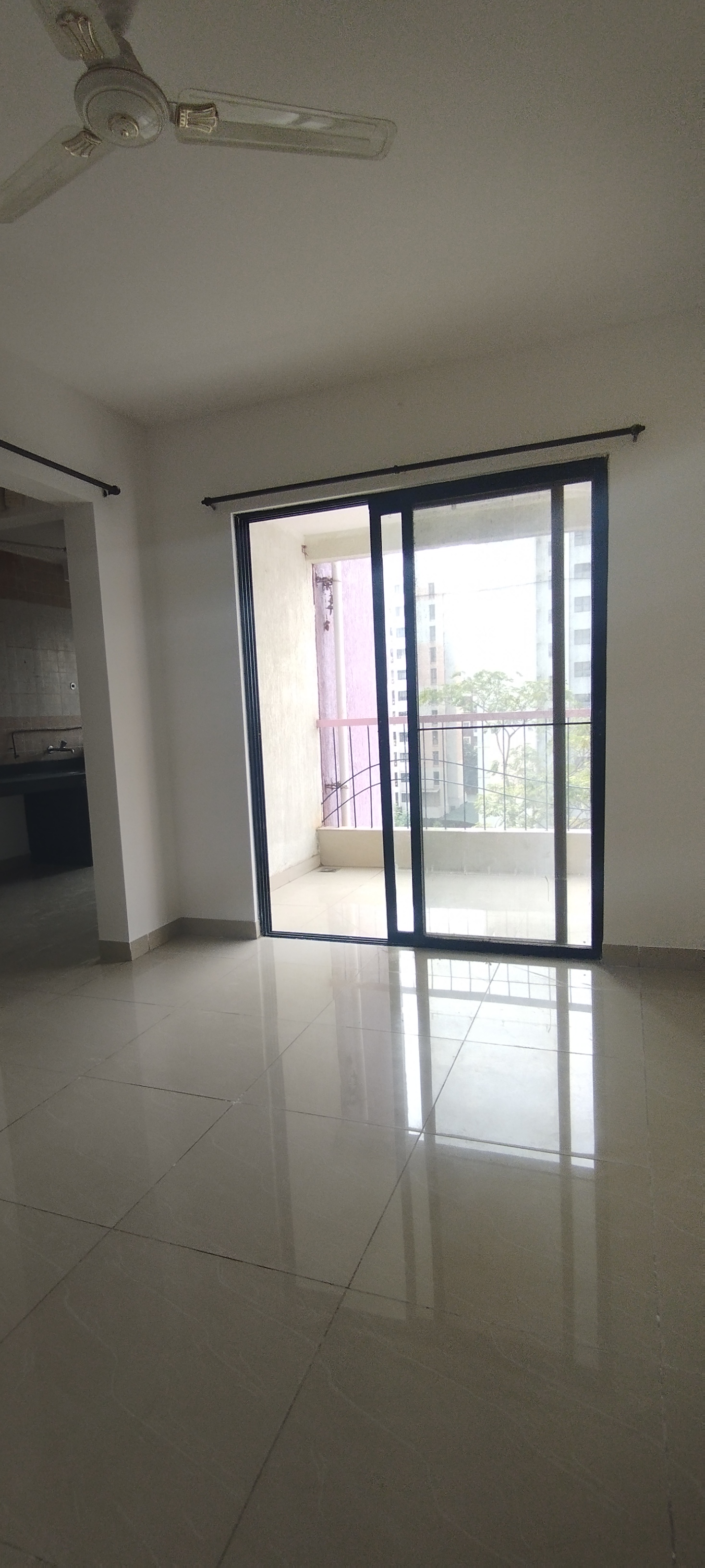 1 BHK Apartment For Rent in Nanded City Mangal Bhairav Nanded Pune  7487246