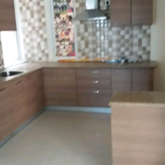 4 BHK Apartment For Rent in Tulip Violet Palda Dhaani Gurgaon  7487667