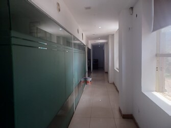 Commercial Showroom 16500 Sq.Ft. For Rent in Sector 74 Mohali  7487768