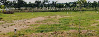 Plot For Resale in Sector 74 A Mohali  7485989