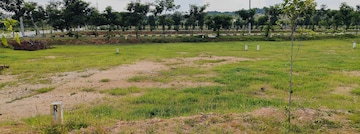 Plot For Resale in Sector 74 A Mohali  7485989