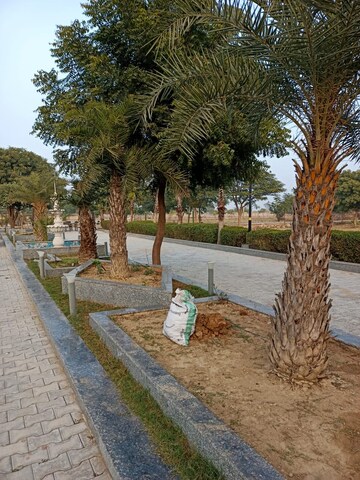  Plot – Exterior View View at Chhatikara - for Sale