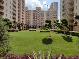 3 BHK Apartment For Rent in Emaar Palm Select Sector 77 Gurgaon  7488475