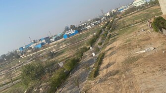 Commercial Land 20 Acre For Resale in Bapauli  Panipat  7488509