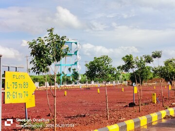 Plot Area in  Plot at Budhera – for Sale