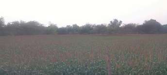 Commercial Land 3500 Sq.Yd. For Resale in Vastrapur Ahmedabad  7488991