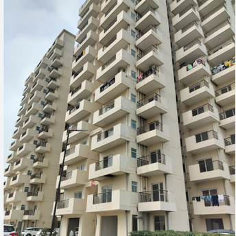 2 BHK Apartment For Resale in Pivotal 99 Marina Bay Sector 99 Gurgaon  7489427