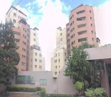 3 BHK Apartment For Rent in Vascon Marigold Kalyani Nagar Pune  7489916