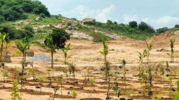 Plot Area in  Plot at Bibinagar – for Sale
