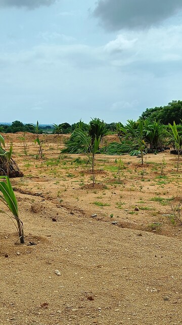 Plot Area in  Plot at Bibinagar – for Sale