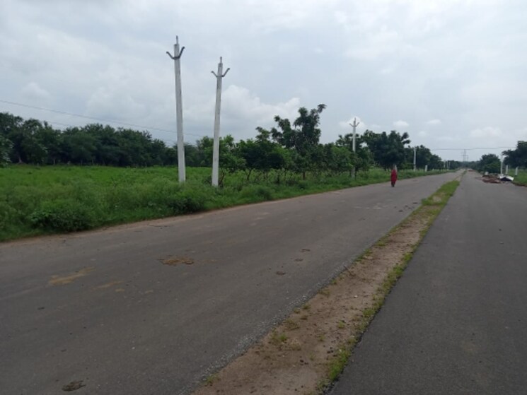 Garden, sikar road  1500 Sq.Yd. Plot In Sikar Road Jaipur 7490289