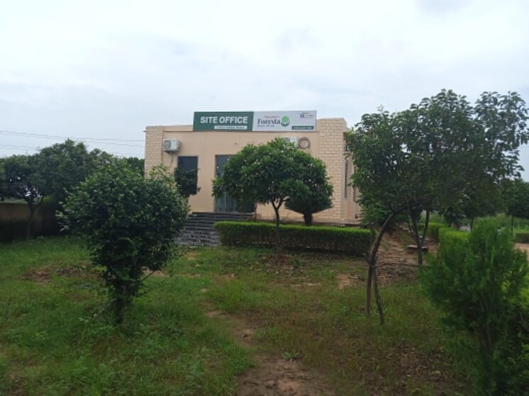 Garden, sikar road  1500 Sq.Yd. Plot In Sikar Road Jaipur 7490289