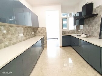 3 BHK Apartment For Rent in Defence Colony Delhi  7490510