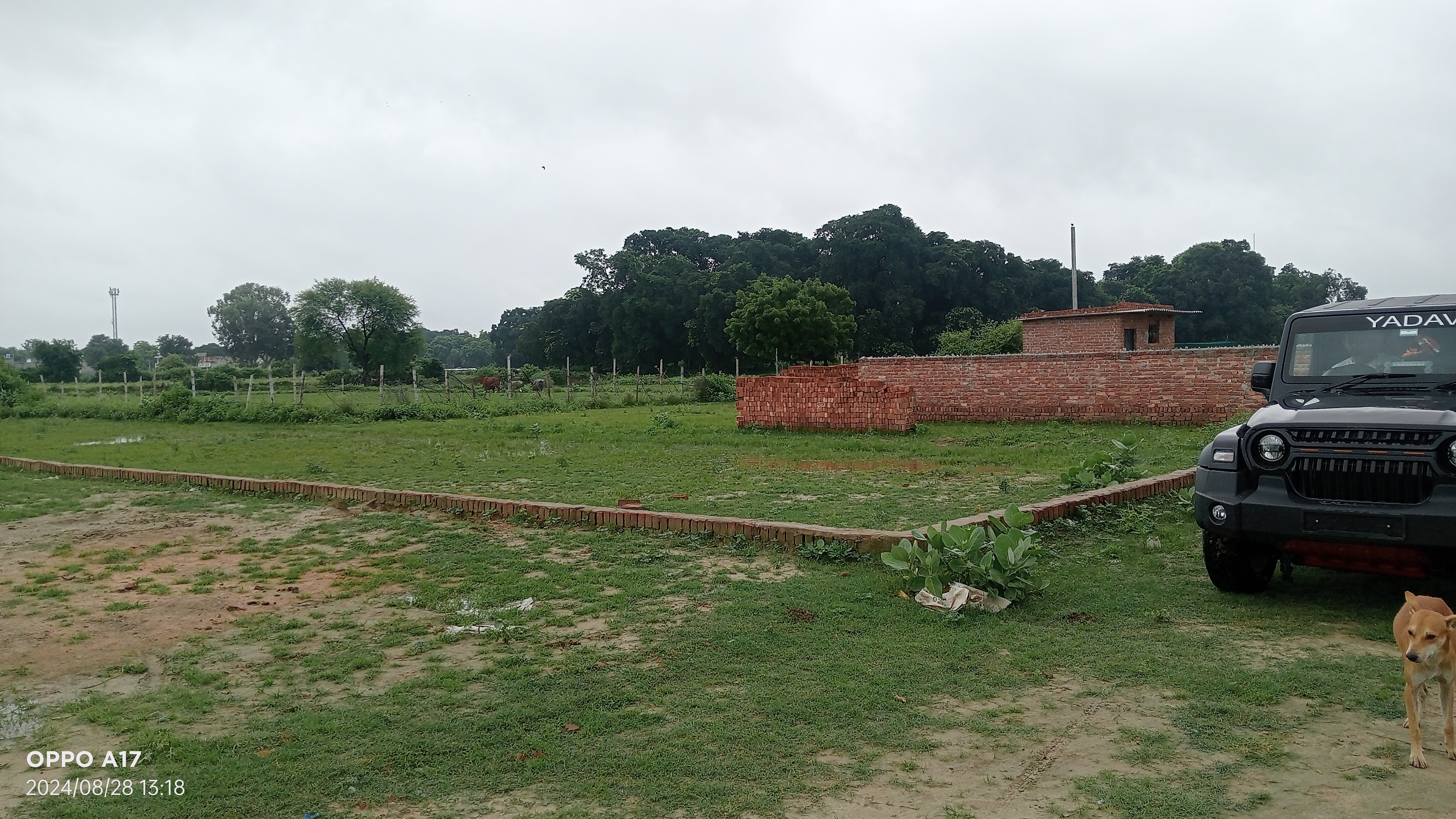 Plot For Resale in Kamta Lucknow  7490456