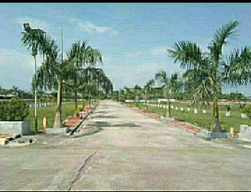 Plot Area in  Plot at Katangi – for Sale
