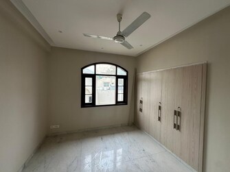 4 BHK Apartment For Rent in Safdarjang Enclave Delhi  7491233