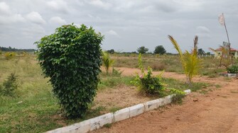 Plot For Resale in Alair Hyderabad  7491455