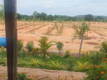 Plot For Resale in Bhongiri Warangal Highway Hyderabad  7492059