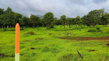  Plot – Garden View at Mangaon - for Sale