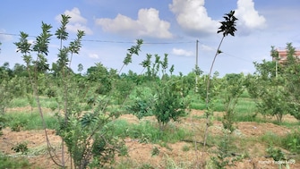 रेसिडेंशियल प्लॉट वर्ग यार्ड फॉर रीसेल इन डीएलएफ सिटी फेज 3 गुड़गांव  7493024