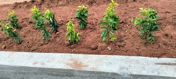 Plot Area in  Plot at Madurai Road – for Sale
