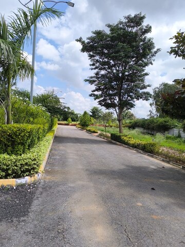 Plot Area in  Plot at Chandapura – for Sale