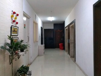 3.5 BHK Apartment For Rent in VTP Urban Space Nibm Road Pune  7493453