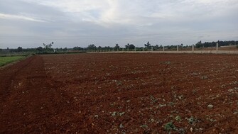 Plot For Rent in Hoskote Malur Road Bangalore  7489466