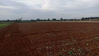 Plot For Rent in Hoskote Malur Road Bangalore  7489466