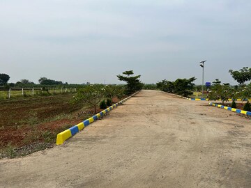 Plot Area in  Plot at Bardipur – for Sale