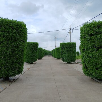  Plot – Garden View at Super Corridor - for Sale