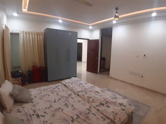 4 BHK Builder Floor For Rent in Banjara Hills Hyderabad  7495045