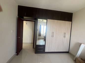 3 BHK Apartment For Rent in SJR Blue Waters Off Sarjapur Road Bangalore  7496403