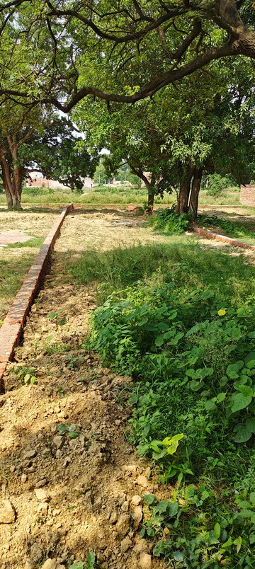 Plot Area in  Plot at Jafrapur – for Sale