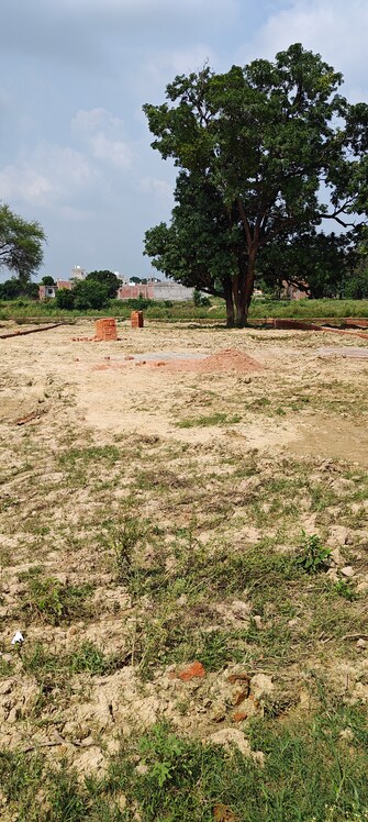 Plot For Resale in Jafrapur Ayodhya  7496688