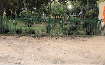 Plot For Sale in Sector 52