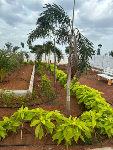  Plot – Garden View at Sri Bhumi Eeshaanya, Kankipadu - for Sale