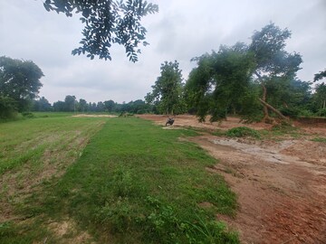  Plot For Sale in Maniram
