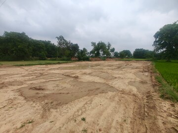 Plot Area in  Plot at Maniram – for Sale
