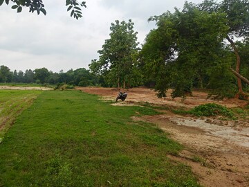 Plot Area in  Plot at Maniram – for Sale