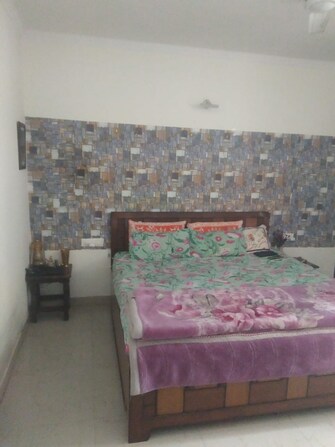 3 BHK Apartment For Resale in Maya Garden City Lohgarh Zirakpur  7497273