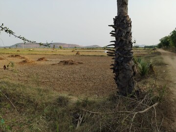 Plot Area in  Plot at Gannavaram – for Sale