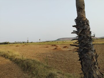 Plot Area in  Plot at Gannavaram – for Sale