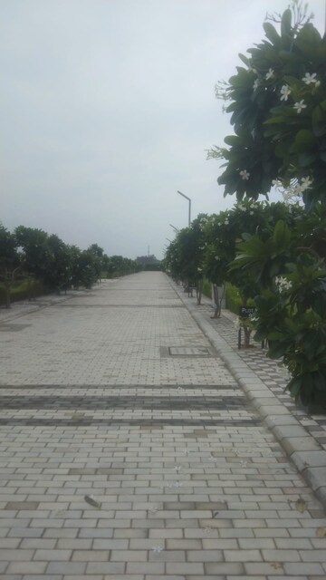  Plot – Garden View at Mansha Oaks, Sector 98 - for Sale