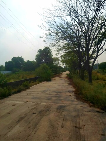 Plot Area in  Plot at Raebareli Road – for Sale