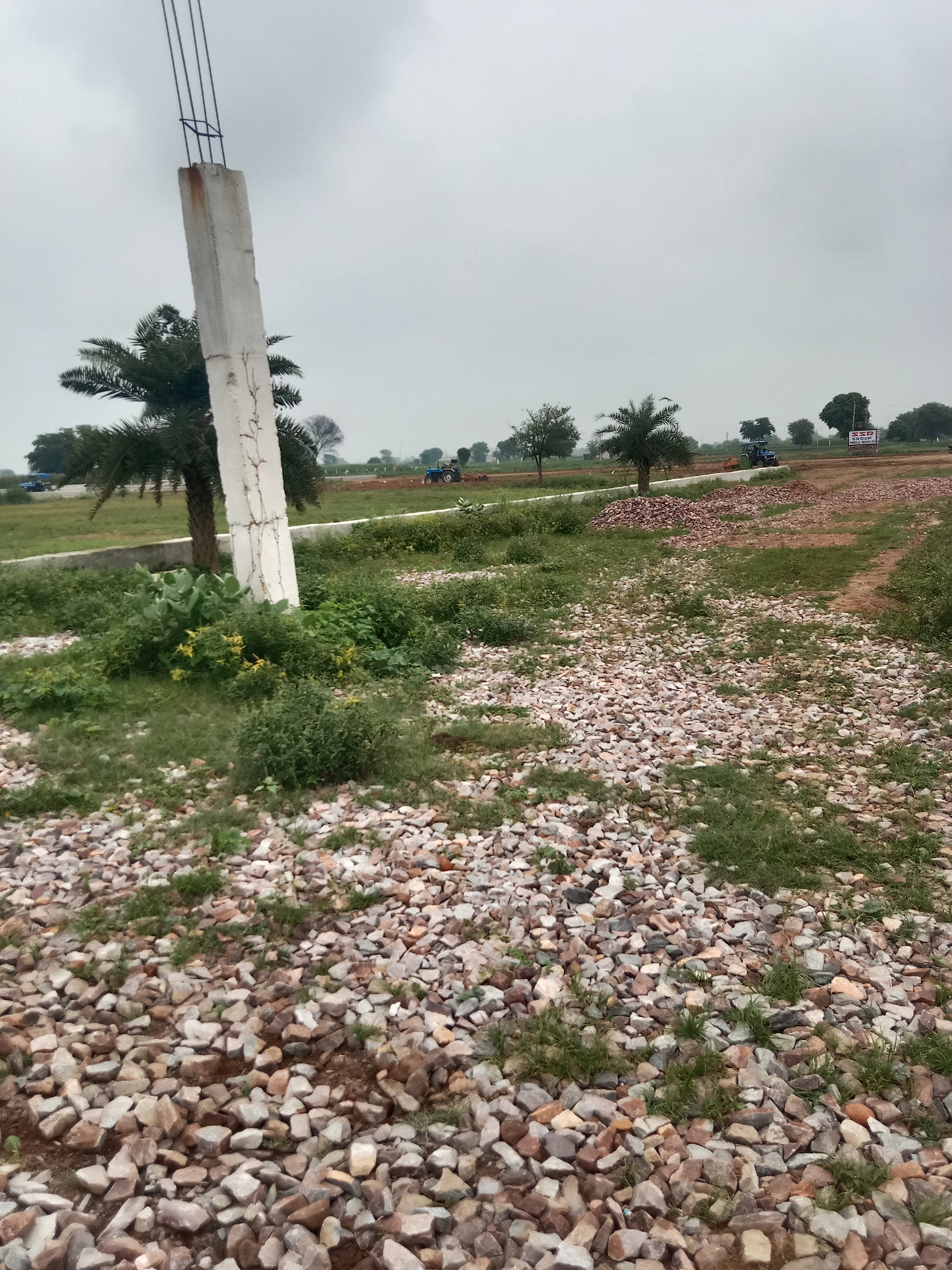 Plot For Resale in Jewar Greater Noida  7498098