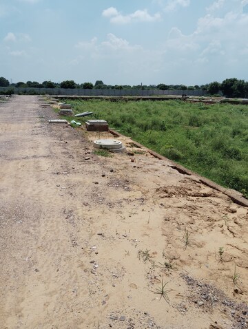 Plot Area in  Plot at Sector 97 – for Sale