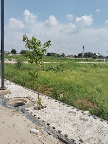 Plot Area in  Plot at Amolik Aster Woods, Sector 98 – for Sale