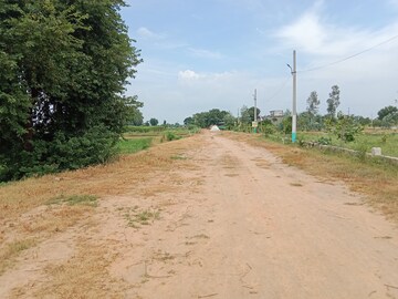 Plot Area in  Plot at Jewar – for Sale